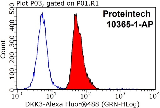 [10365-1-AP-20UL] DKK3 Polyclonal antibody