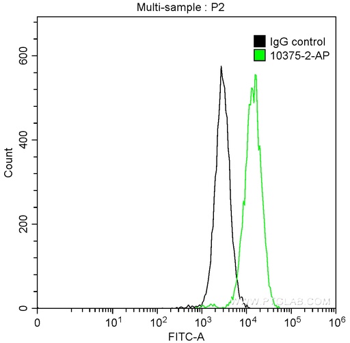 [10375-2-AP-150UL] MMP9 (N-terminal) Polyclonal antibody