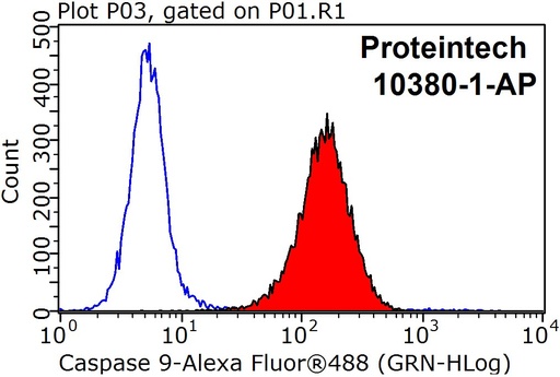 [10380-1-AP-150UL] Caspase 9/p35/p10 Polyclonal antibody