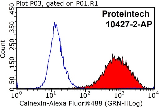 [10427-2-AP-150UL] Calnexin Polyclonal antibody