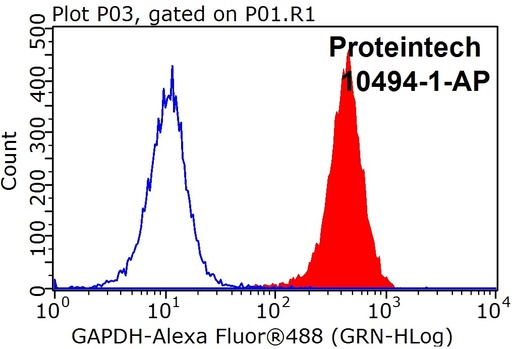 [10494-1-AP-150UL] GAPDH Polyclonal antibody