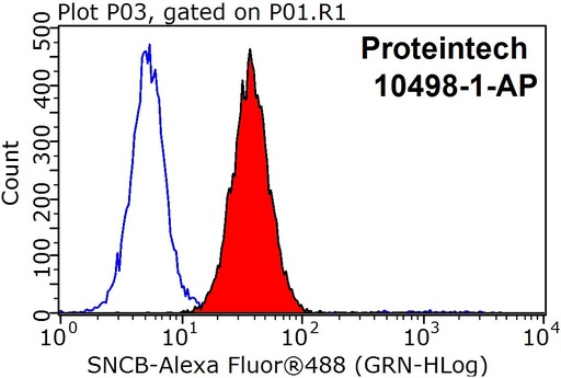[10498-1-AP-150UL] SNCB Polyclonal antibody