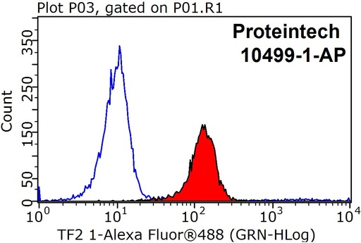 [10499-1-AP-20UL] TFII I Polyclonal antibody