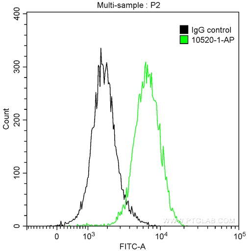 [10520-1-AP-20UL] APOD Polyclonal antibody