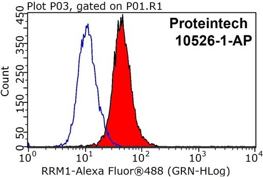 [10526-1-AP-150UL] RRM1 Polyclonal antibody