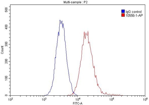 [10556-1-AP-150UL] NCL Polyclonal antibody