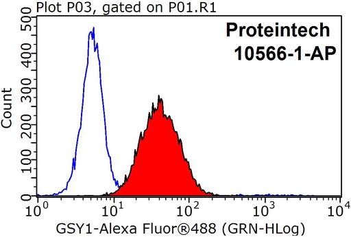 [10566-1-AP-150UL] GYS1 Polyclonal antibody