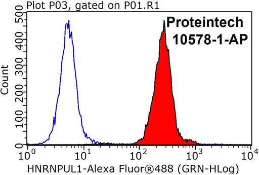 [10578-1-AP-150UL] HNRNPUL1 Polyclonal antibody