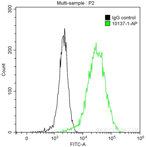 [10137-1-AP-150UL] Cytokeratin 15 Polyclonal antibody