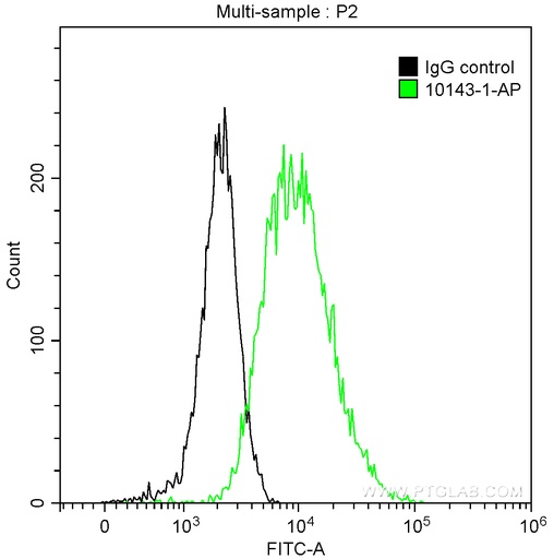 [10143-1-AP-150UL] Cytokeratin 14 Polyclonal antibody