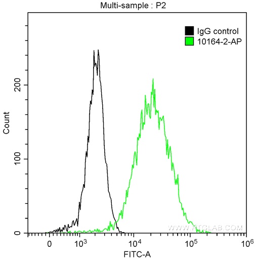 [10164-2-AP-150UL] Cytokeratin 13 Polyclonal antibody