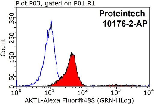 [10176-2-AP-20UL] AKT Polyclonal antibody