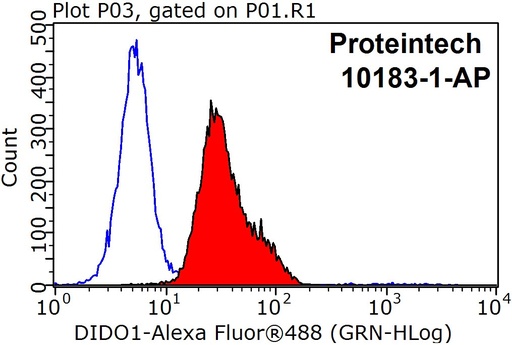 [10183-1-AP-20UL] DIDO1 Polyclonal antibody