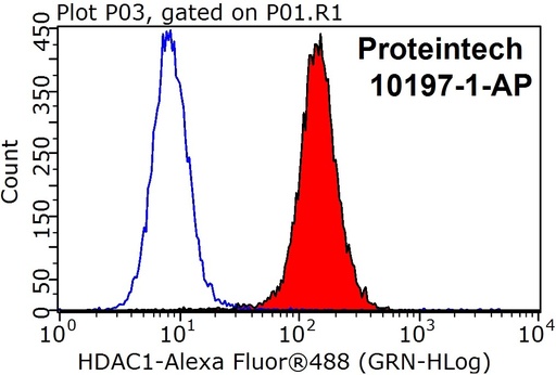 [10197-1-AP-20UL] HDAC1 Polyclonal antibody