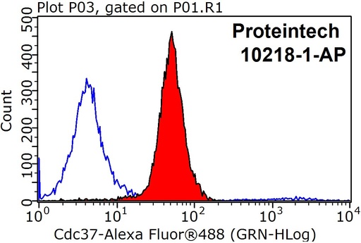 [10218-1-AP-20UL] CDC37 Polyclonal antibody