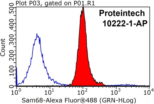 [10222-1-AP-20UL] Sam68 Polyclonal antibody