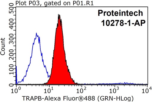[10278-1-AP-150UL] TRAPB/SSR2 Polyclonal antibody