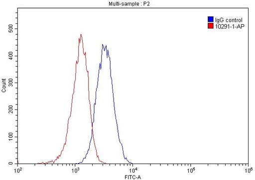 [10291-1-AP-20UL] EIF6 Polyclonal antibody