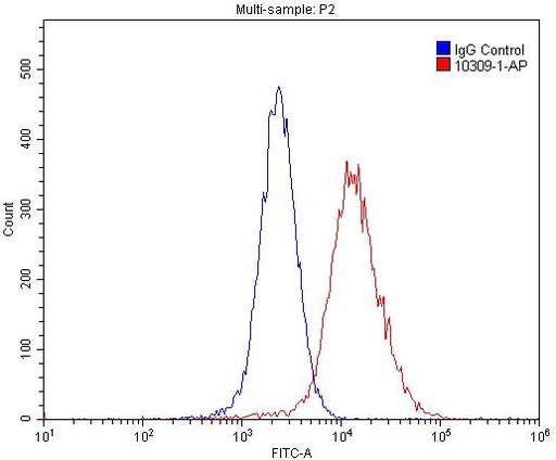 [10309-1-AP-150UL] GPRC5A,RAI3 Polyclonal antibody