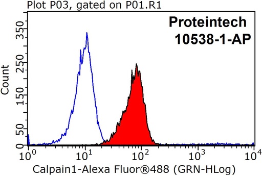 [10538-1-AP-150UL] Calpain 1 Polyclonal antibody