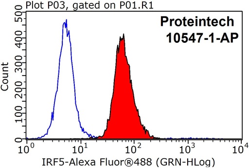 [10547-1-AP-150UL] IRF5 Polyclonal antibody