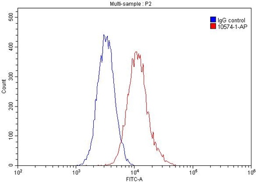 [10574-1-AP-150UL] SUV39H1 Polyclonal antibody