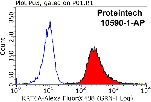 [10590-1-AP-20UL] Cytokeratin 6A Polyclonal antibody