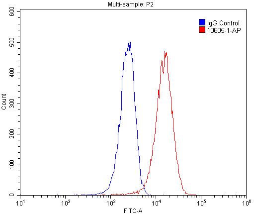 [10605-1-AP-150UL] WNT7A/B Polyclonal antibody