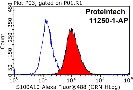 [11250-1-AP-20UL] S100A10 Polyclonal antibody