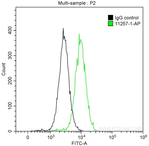 [11257-1-AP-150UL] ERK1/2 Polyclonal antibody