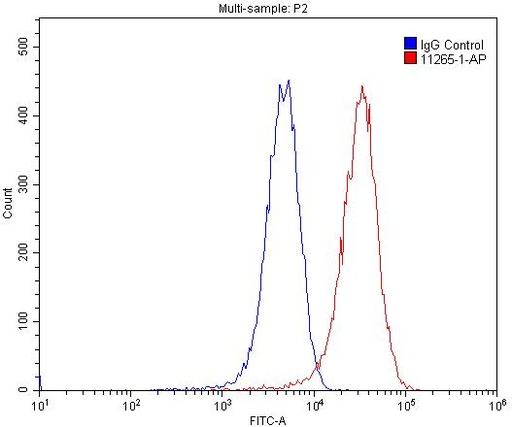 [11265-1-AP-20UL] CD31 Polyclonal antibody