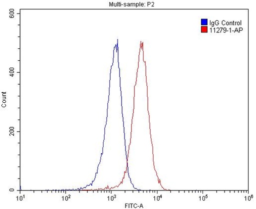 [11279-1-AP-150UL] PRMT1 Polyclonal antibody