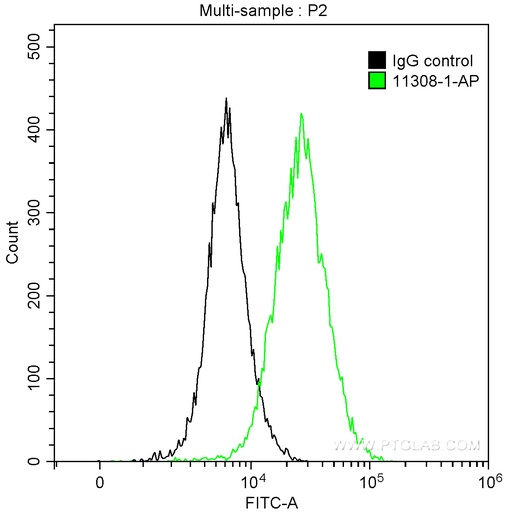 [11308-1-AP-20UL] GOLGA2/GM130 Polyclonal antibody