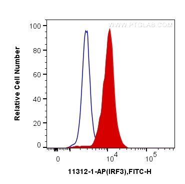 [11312-1-AP-150UL] IRF3 Polyclonal antibody