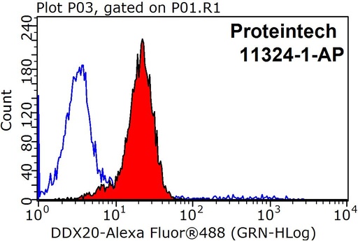 [11324-1-AP-150UL] DDX20 Polyclonal antibody