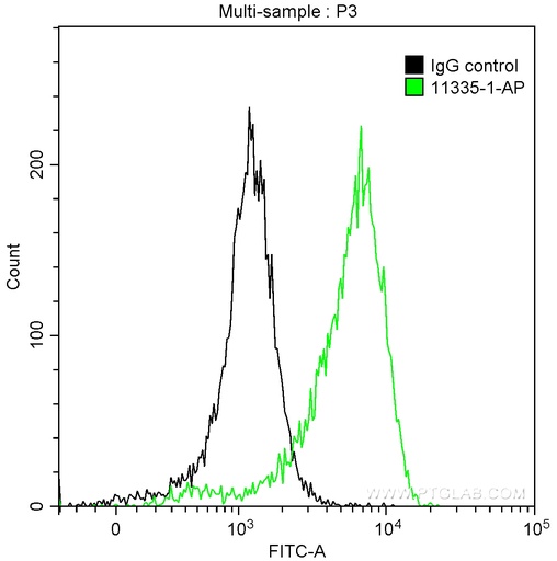 [11335-1-AP-20UL] IRF1 Polyclonal antibody