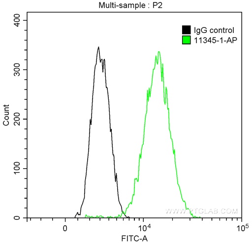 [11345-1-AP-150UL] NSD3 Polyclonal antibody
