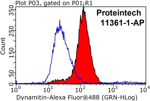 [11361-1-AP-20UL] Dynamitin (1-401 AA) Polyclonal antibody