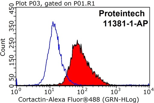 [11381-1-AP-150UL] Cortactin Polyclonal antibody