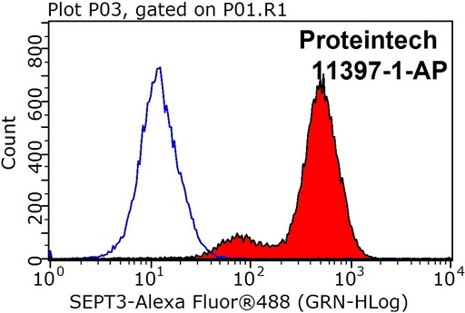 [11397-1-AP-20UL] SEPT2 Polyclonal antibody