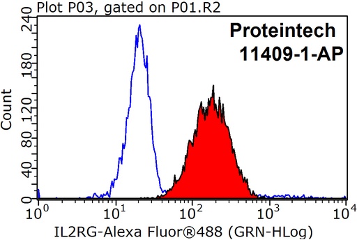 [11409-1-AP-20UL] IL2RG Polyclonal antibody
