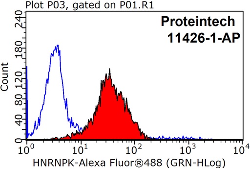 [11426-1-AP-150UL] HNRNPK Polyclonal antibody