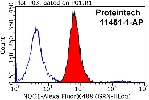 [11451-1-AP-20UL] NQO1 Polyclonal antibody
