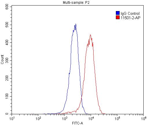 [11501-2-AP-150UL] ASGR2 Polyclonal antibody