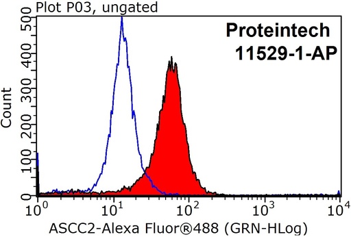[11529-1-AP-150UL] ASCC2 Polyclonal antibody
