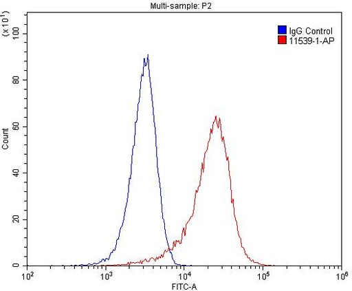 [11539-1-AP-150UL] MAGED1 Polyclonal antibody