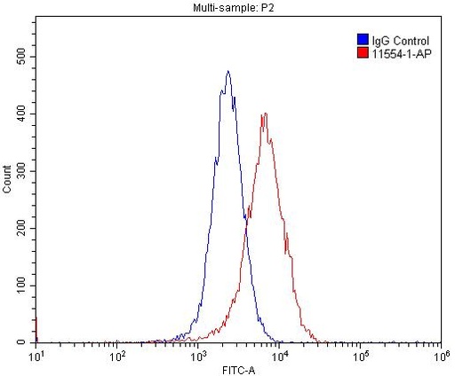 [11554-1-AP-150UL] Cyclin E1 Polyclonal antibody