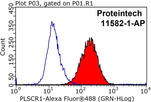 [11582-1-AP-150UL] PLSCR1 Polyclonal antibody