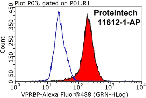 [11612-1-AP-150UL] VPRBP Polyclonal antibody