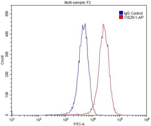 [11629-1-AP-150UL] Podoplanin Polyclonal antibody